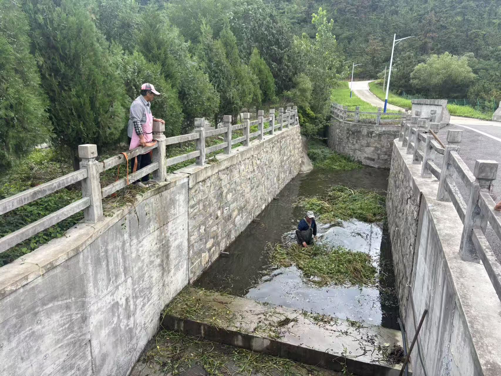 黃嶺村溢洪道雜草清理.jpg